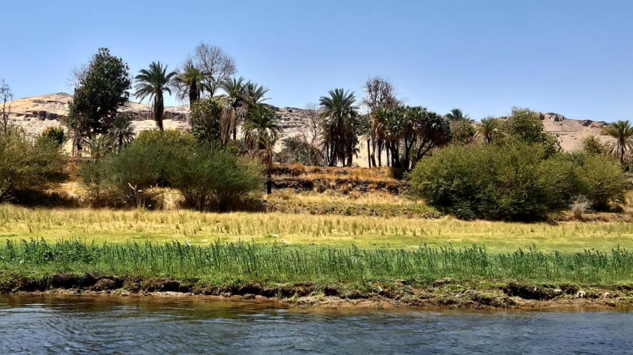 Habibi Nubian Guest House-Nubian Hospitality Aswan Eksteriør bilde