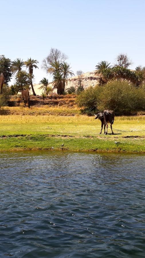 Habibi Nubian Guest House-Nubian Hospitality Aswan Eksteriør bilde
